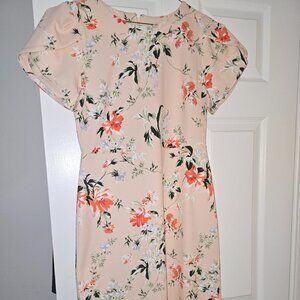 Ann Taylor Multicolor Floral Dress, Size 6